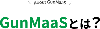 GunMaaSとは？